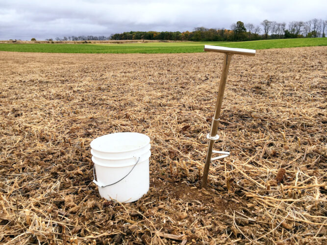 Test your fields for Soybean Cyst Nematode right after harvest